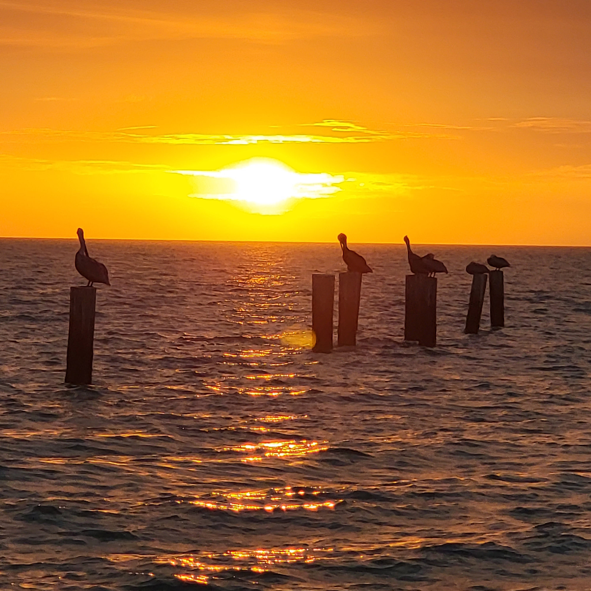 Naples, FL, US
